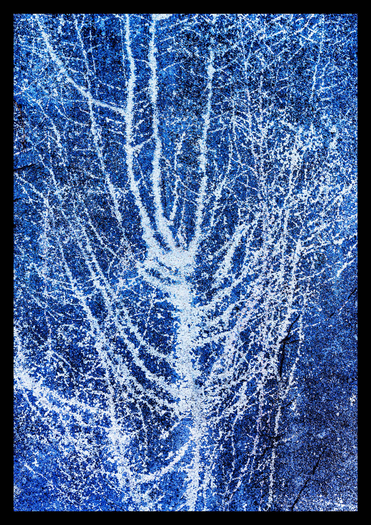 Arborescence Variations Chromatiques bleu